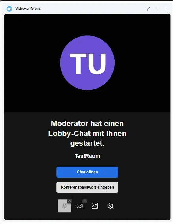 Chat Lobbymodus Teilnehmerin und Teilnehmersicht